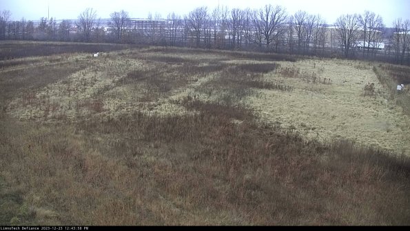 Cell 3_23-12-23_12-43-58-64