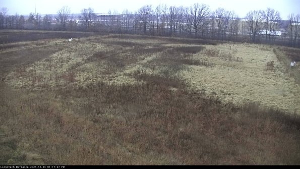 Cell 3_23-12-23_13-17-27-59