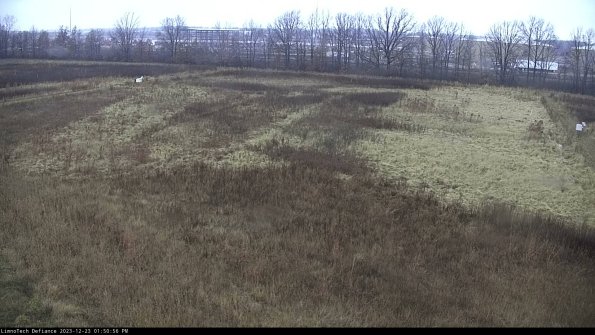 Cell 3_23-12-23_13-50-56-60