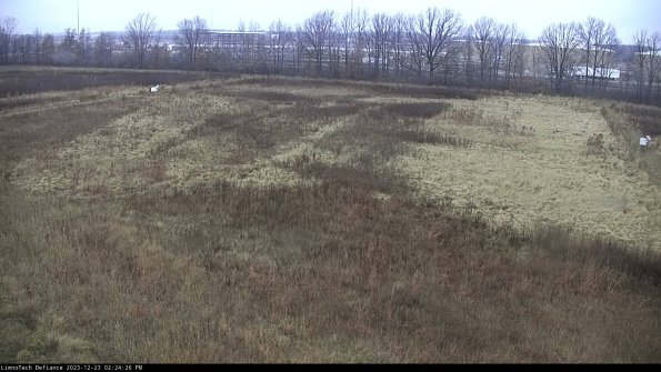 Cell 3_23-12-23_14-24-26-62