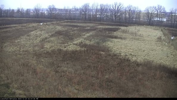 Cell 3_23-12-23_14-57-56-60