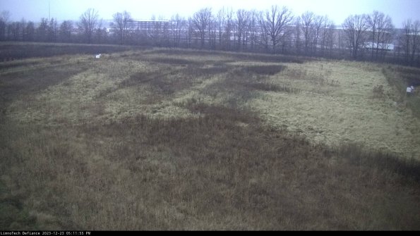 Cell 3_23-12-23_17-11-55-60