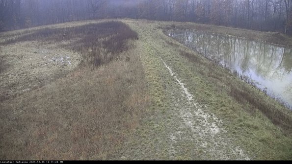 Cell 4 to Basin_23-12-23_12-11-26-64