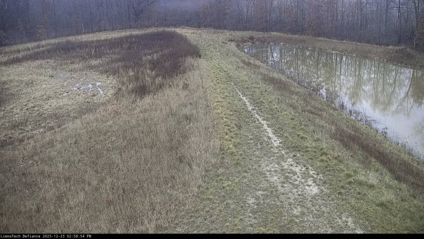 Cell 4 to Basin_23-12-23_14-58-54-63