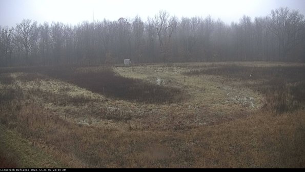 Cell 4_23-12-23_09-23-29-60