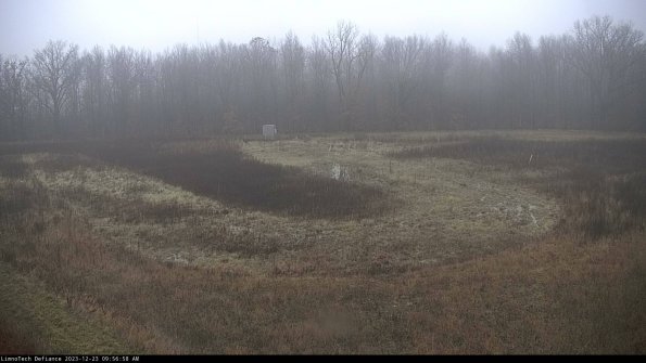 Cell 4_23-12-23_09-56-58-62