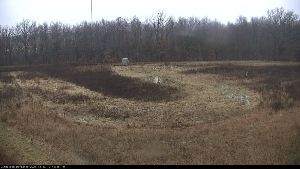 Cell 4_23-12-23_12-44-26-60