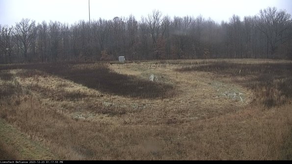 Cell 4_23-12-23_13-17-55-61