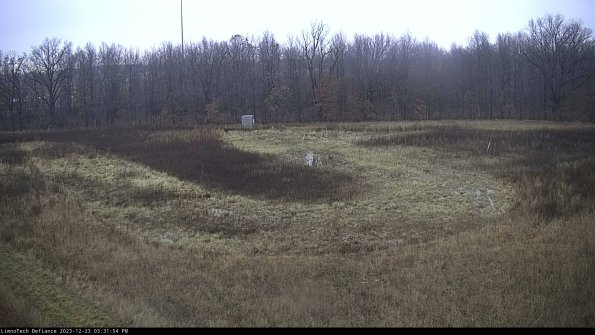 Cell 4_23-12-23_15-31-54-61