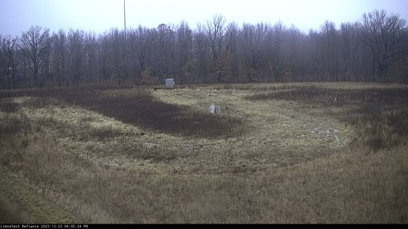 Cell 4_23-12-23_16-05-24-60