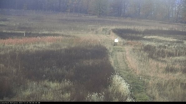 Cell 1 to 2_23-12-25_08-48-59-62