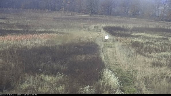 Cell 1 to 2_23-12-25_09-55-56-62