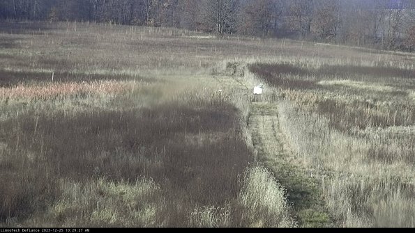 Cell 1 to 2_23-12-25_10-29-27-61