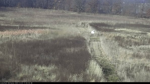 Cell 1 to 2_23-12-25_11-02-56-63