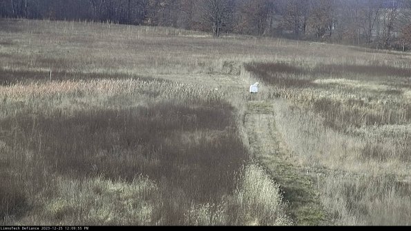 Cell 1 to 2_23-12-25_12-09-55-60