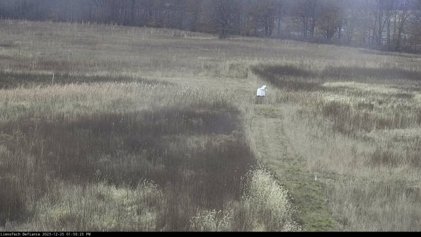 Cell 1 to 2_23-12-25_13-50-25-59