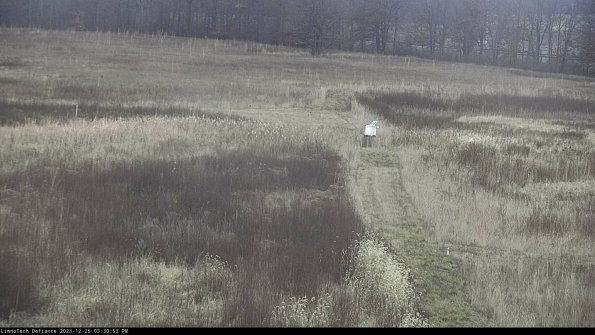 Cell 1 to 2_23-12-25_15-30-53-58