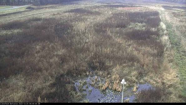 Cell 1_23-12-25_08-48-45-61