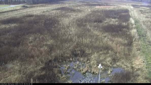 Cell 1_23-12-25_09-55-42-61