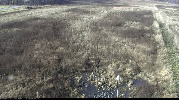 Cell 1_23-12-25_10-29-13-59