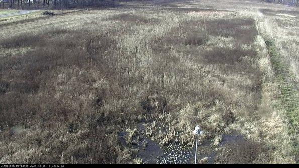 Cell 1_23-12-25_11-02-42-61