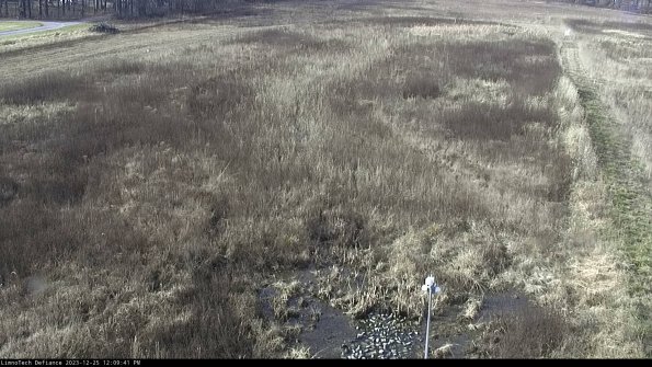 Cell 1_23-12-25_12-09-41-62