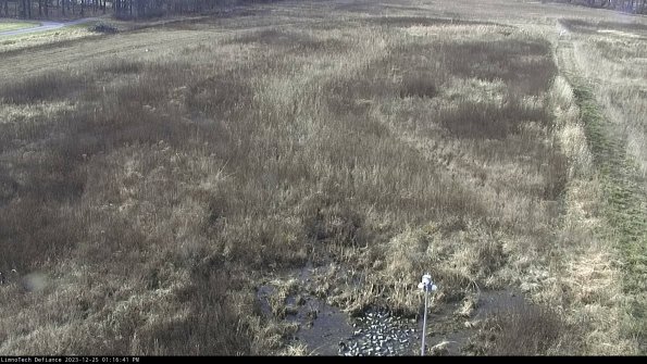 Cell 1_23-12-25_13-16-41-62