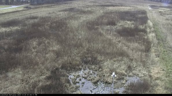 Cell 1_23-12-25_13-50-11-61