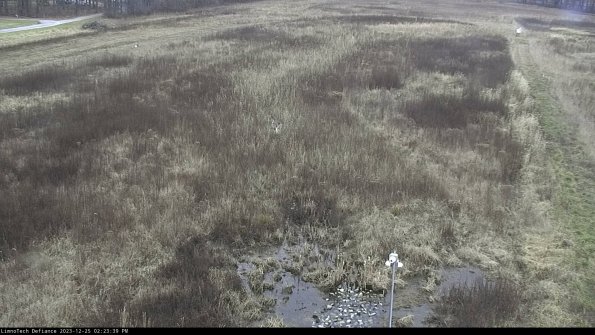 Cell 1_23-12-25_14-23-39-59