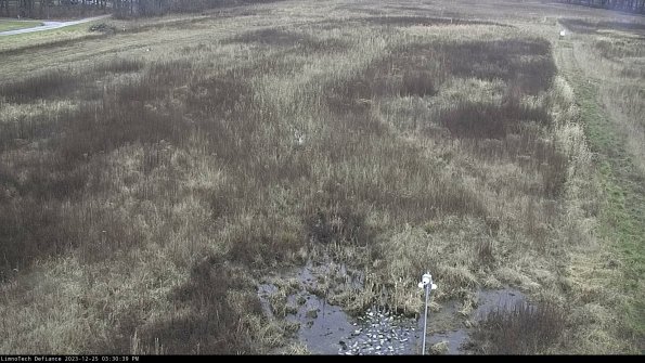 Cell 1_23-12-25_15-30-39-60