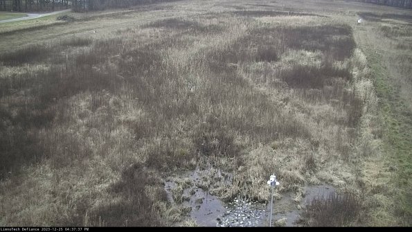 Cell 1_23-12-25_16-37-37-60