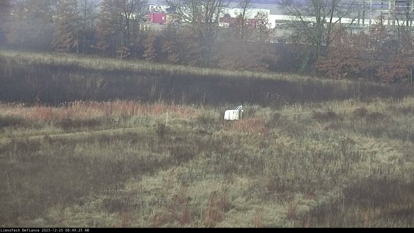 Cell 2 to 3_23-12-25_08-49-25-82