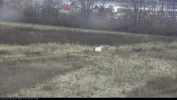 Cell 2 to 3_23-12-25_14-24-19-84