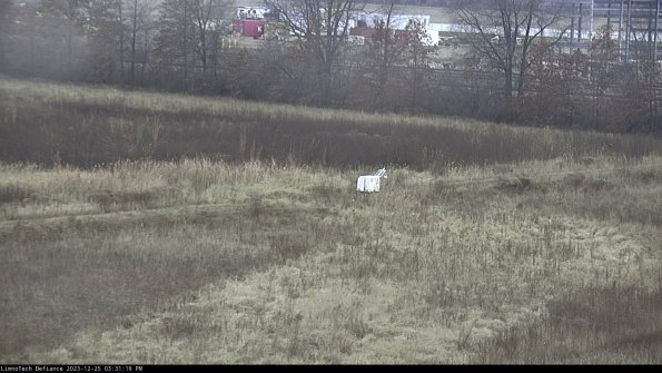 Cell 2 to 3_23-12-25_15-31-19-64