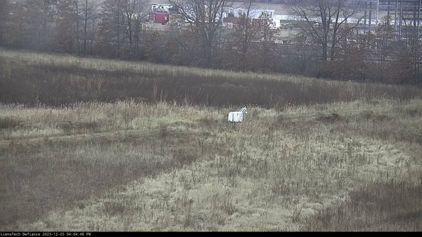 Cell 2 to 3_23-12-25_16-04-48-79