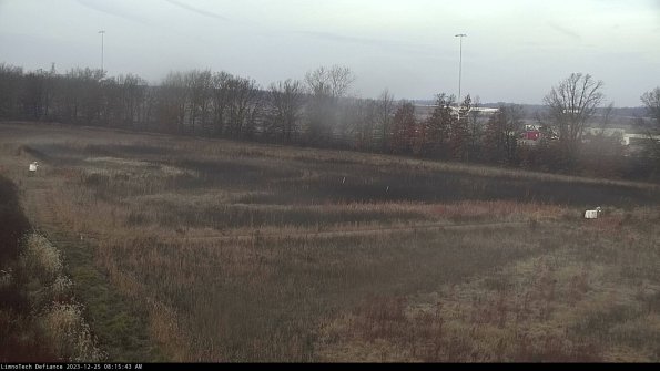 Cell 2_23-12-25_08-15-43-65