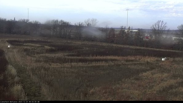 Cell 2_23-12-25_09-56-09-63