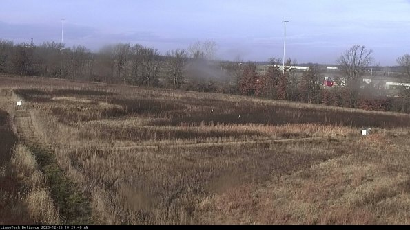 Cell 2_23-12-25_10-29-40-65