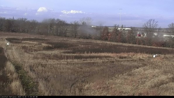 Cell 2_23-12-25_11-03-09-64