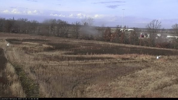 Cell 2_23-12-25_11-36-38-66