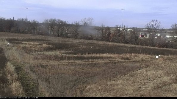 Cell 2_23-12-25_13-17-08-65