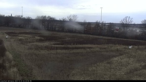 Cell 2_23-12-25_14-24-06-66