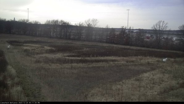 Cell 2_23-12-25_17-11-34-65