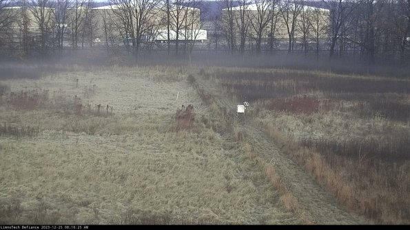 Cell 3 to 4_23-12-25_08-16-25-63