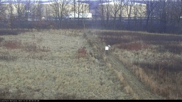 Cell 3 to 4_23-12-25_08-49-54-61