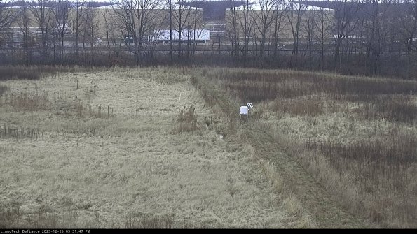 Cell 3 to 4_23-12-25_15-31-47-60