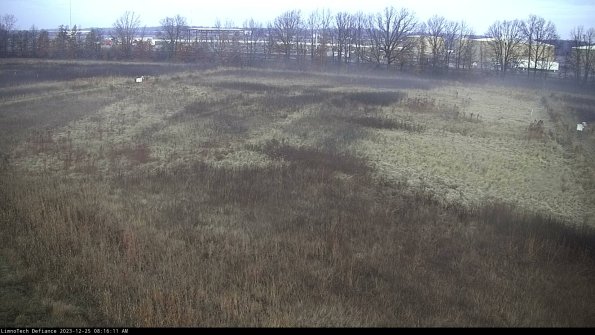 Cell 3_23-12-25_08-16-11-62