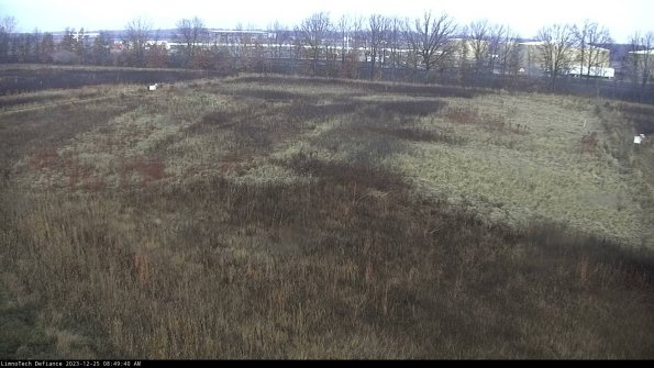 Cell 3_23-12-25_08-49-40-63