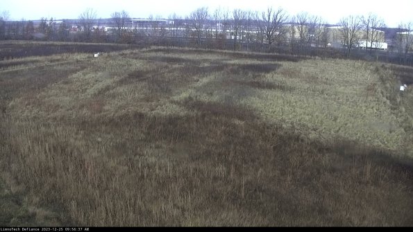 Cell 3_23-12-25_09-56-37-63