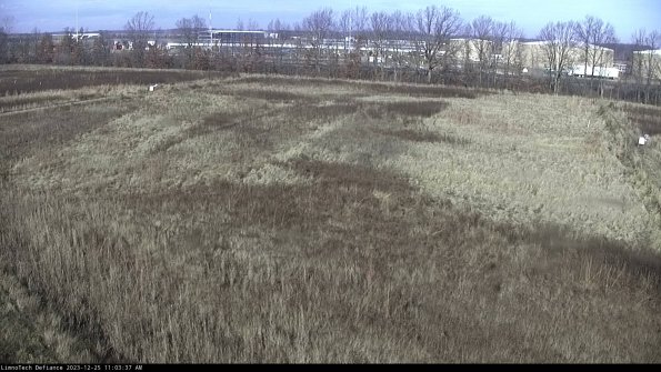 Cell 3_23-12-25_11-03-37-60